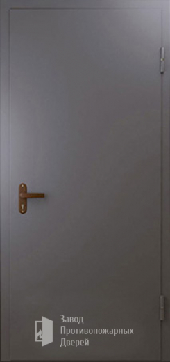 Фото двери «Техническая дверь №1 однопольная» в Истре