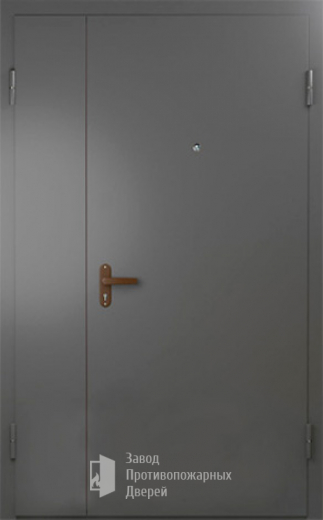 Фото двери «Техническая дверь №6 полуторная» в Истре