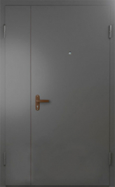 Фото двери «Техническая дверь №6 полуторная» в Истре